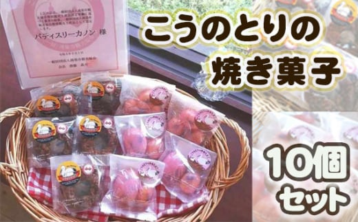 No.510 こうのとりの焼き菓子　10個セット ／ ケーキ グルテンフリー 米粉 寒天 贈り物 送料無料 埼玉県 1457495 - 埼玉県鴻巣市