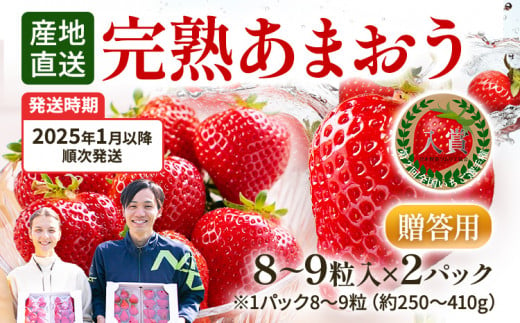 あまおう 8～9粒入り×2パック（先行受付／2025年1月以降順次発送予定）いちご 大粒 不揃い DX デラックス エクセレント 苺 イチゴ 福岡高級 フルーツ 土産 福岡県