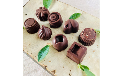 ミニビターチョコ詰合わせ〈８個〉白砂糖不使用
