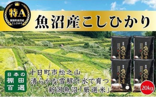 【令和6年産新米予約】日本棚田百選のお米　天空の里 魚沼産 こしひかり 20kg(5kg×4) 1454298 - 新潟県十日町市