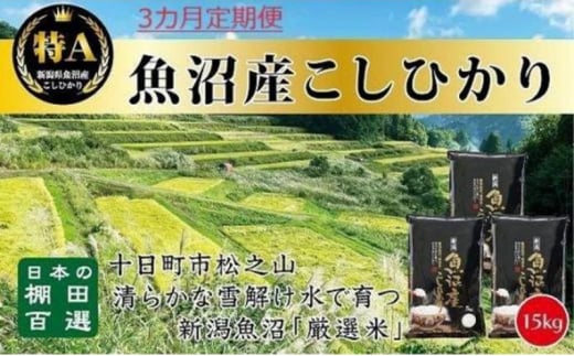 【令和6年産新米予約】3カ月 定期便 日本棚田百選のお米 天空の里 魚沼産 こしひかり 15kg(5kg×3)×3回 米 お米 コメ 1454282 - 新潟県十日町市