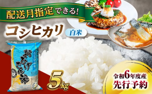 【8月発送】コシヒカリ　白米　5kg　米　お米　ご飯　愛西市/脇野コンバイン [AECP021-12] 1455239 - 愛知県愛西市