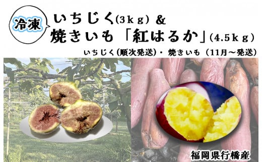 AO-018_冷凍いちじく3kg ＆ 冷凍焼き芋「紅はるか」 4.5kg 1456470 - 福岡県行橋市