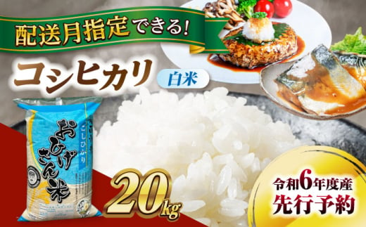 【11月発送】コシヒカリ　白米　20kg　米　お米　ご飯　愛西市/脇野コンバイン [AECP023-3] 1455254 - 愛知県愛西市