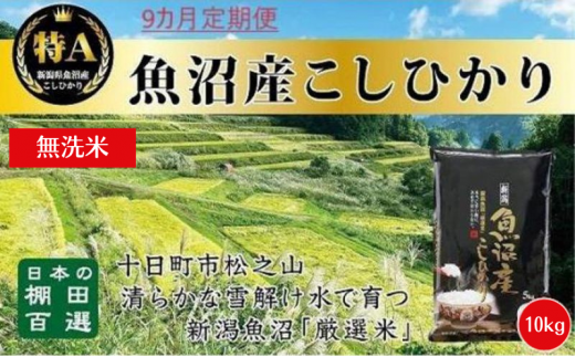 【令和6年産新米予約】 無洗米 9カ月 定期便 日本棚田百選のお米 天空の里 魚沼産 こしひかり 10kg(5kg×2)×9回 米 お米 コメ 1454322 - 新潟県十日町市