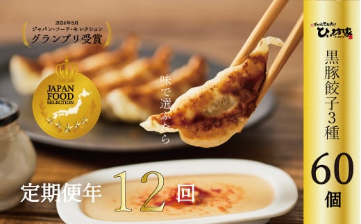 【全12回】ひぃ坊家の餃子定期便 015-20