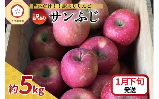 【2025年1月下旬発送】 【訳あり】 りんご サンふじ 5kg 青森 1482228 - 青森県五所川原市