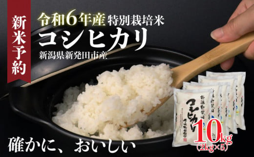 令和6年産 新米予約 特別栽培米 コシヒカリ 10kg 2kg×5袋 米 白米 ご飯 料理 おにぎり 弁当 新潟県 新潟産 新発田産 コシヒカリ 佐々木耕起組合 2kg 特別栽培米 新潟県 新発田市 新米 非常食 備蓄  1436803 - 新潟県新発田市