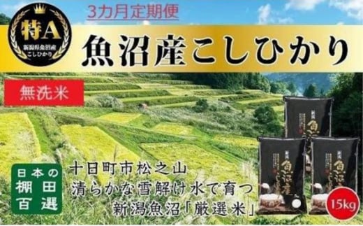 【令和6年産新米予約】 無洗米 3カ月 定期便 日本棚田百選のお米 天空の里 魚沼産 こしひかり 15kg(5kg×3)×3回 米 お米 コメ 1454312 - 新潟県十日町市