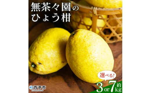 無茶々園のひょう柑 約3kg/7kg 果物 みかん くだもの ミカン 蜜柑 柑橘類 フルーツ 選べる内容量 ひょうかん ヒョウカン 弓削瓢柑 旬 期間限定 数量限定 特産品 愛媛県 西予市[常温]