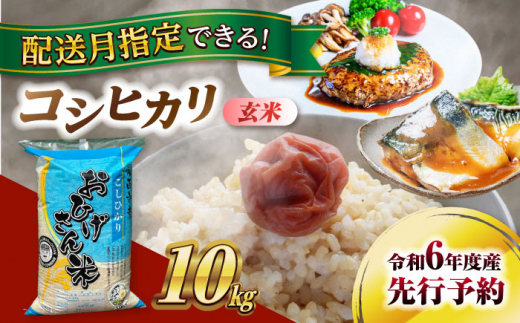 【11月発送】コシヒカリ　玄米　10kg　米　お米　ご飯　愛西市/脇野コンバイン [AECP031-3] 1455278 - 愛知県愛西市