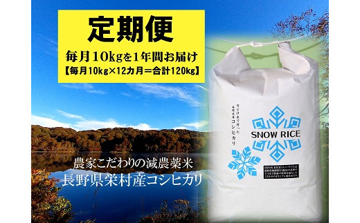 令和6年産【定期便】減農薬コシヒカリ「SNOW RICE」白米＜毎月10kg×12か月＞ 1454809 - 長野県栄村