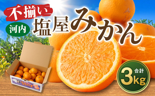 ＜2024年12月発送予定＞【不揃い】選べる 河内 塩屋みかん 3kg 青島みかん 熊本 国産 みかん 蜜柑 ミカン 果物 くだもの フルーツ  1436917 - 熊本県熊本市