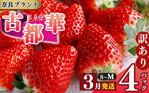 いちご 平群の古都華 S〜Mサイズ (2パック×2ケース)計4パック 阪野農園 2025年3月発送 | 果物 くだもの フルーツ 苺 イチゴ いちご ストロベリー 古都華 ことか 旬の品種 産地直送 奈良県 平群町