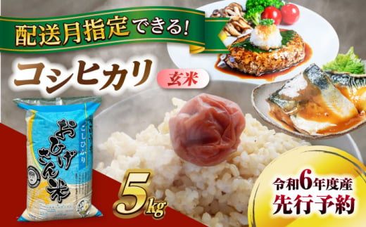 【9月発送】コシヒカリ　玄米　5kg　米　お米　ご飯　愛西市/脇野コンバイン [AECP030-1] 1455264 - 愛知県愛西市