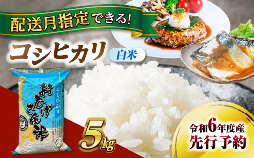 【10月発送】コシヒカリ　白米　5kg　米　お米　ご飯　愛西市/脇野コンバイン [AECP021-2] 1455229 - 愛知県愛西市