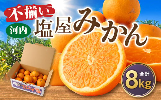 ＜2025年1月発送予定＞【不揃い】選べる 河内 塩屋みかん 8kg 青島みかん 熊本 国産 みかん 蜜柑 ミカン 果物 くだもの フルーツ  1436936 - 熊本県熊本市