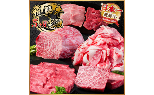 ＜毎月定期便＞飛騨牛 定期便 計2.2kg＜冷蔵便＞全5回【4055507】 1455544 - 岐阜県羽島市