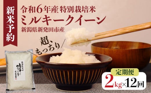 [定期便] 令和6年産 新潟県産 お米 2kg×12か月 ミルキークイーン 米 お米 コメ おコメ こめ 新潟県 新潟産 新発田産 米 ミルキークイーン 佐々木耕起組合 2kg 12ヵ月 24kg 定期便 夕食 晩ごはん