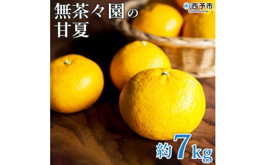 ＜無茶々園の甘夏 約7kg＞ 果物 あまなつ みかん ミカン 蜜柑 柑橘 フルーツ 期間限定 季節限定 食べて応援 特産品 愛媛県 西予市 【常温】 256349 - 愛媛県西予市