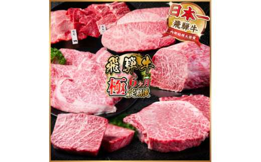 ＜毎月定期便＞飛騨牛 極定期便 計3.4kg＜冷蔵便＞全6回【4055510】 1455547 - 岐阜県羽島市