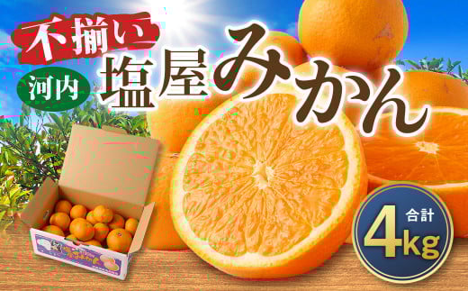 ＜2025年11月発送予定＞【不揃い】選べる河内塩屋みかん4kg 早生みかん 熊本 国産 みかん 蜜柑 ミカン 果物 くだもの フルーツ  1436923 - 熊本県熊本市