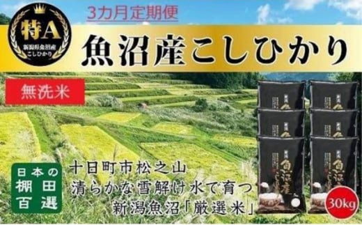 【令和6年産新米予約】 無洗米 3カ月 定期便 日本棚田百選のお米 天空の里 魚沼産 こしひかり 30kg(5kg×6)×3回 米 お米 コメ 1454314 - 新潟県十日町市