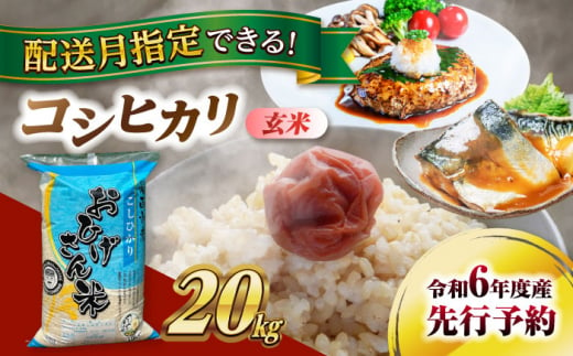 【12月発送】コシヒカリ　玄米　20kg　米　お米　ご飯　愛西市/脇野コンバイン [AECP032-4] 1455291 - 愛知県愛西市