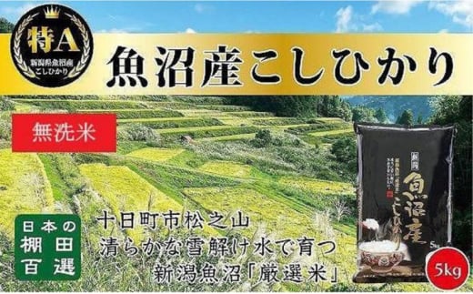 【令和6年産新米予約】日本棚田百選のお米 無洗米 天空の里 魚沼産 こしひかり 5kg×1 1454305 - 新潟県十日町市