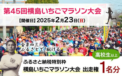 「 第45回横島いちごマラソン大会 」 高校生以上 (1名分) | チケット 体験 マラソン イチゴ 熊本県 玉名市