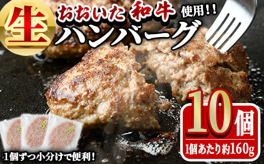 おおいた和牛 生 ハンバーグ (計1.6kg・160g×10個) 牛肉 肉 生ハンバーグ 惣菜 おかず 黒毛和牛 和牛 ブランド牛 冷凍【HE08】【(株)吉野】 1393097 - 大分県佐伯市