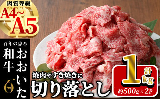 おおいた和牛 切り落とし (計1kg ・500g×2P) 国産 牛肉 肉 霜降り A4 A5 黒毛和牛 すき焼き しゃぶしゃぶ 焼肉 和牛 豊後牛 ブランド牛 冷凍【HE01】【(株)吉野】 1390455 - 大分県佐伯市