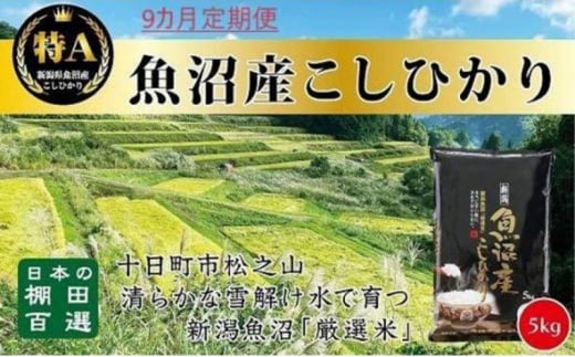 【令和6年産新米予約】9カ月 定期便 日本棚田百選のお米 天空の里 魚沼産 こしひかり 5kg×9回 米 お米 コメ 1454291 - 新潟県十日町市