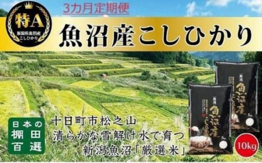 【令和6年産新米予約】3カ月 定期便 日本棚田百選のお米 天空の里 魚沼産 こしひかり 10kg(5kg×2)×3回 米 お米 コメ 1454281 - 新潟県十日町市