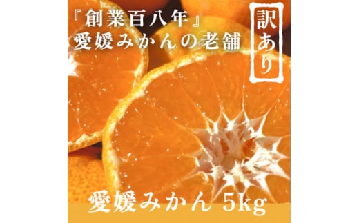 創業百八年 愛媛みかんの老舗＜愛媛みかん5kg＞(訳あり)愛媛県川上産＜A70-37＞【1536340】