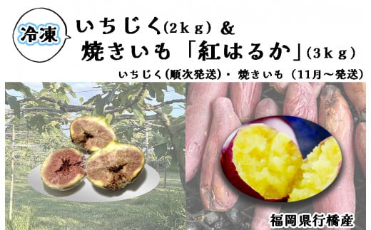 AO-017_冷凍いちじく2kg ＆ 冷凍焼き芋「紅はるか」 3kg 1456469 - 福岡県行橋市