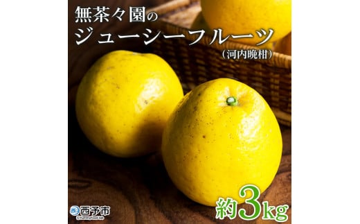 [無茶々園のジューシーフルーツ(河内晩柑)約3kg] 果物 フルーツ 選べる内容量 かわちばんかん みかん ミカン 蜜柑 柑橘 期間限定 季節限定 食べて応援 特産品 愛媛県 西予市 [常温]