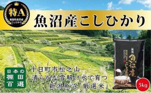 【令和6年産新米予約】日本棚田百選のお米　天空の里 魚沼産 こしひかり 5kg 1454300 - 新潟県十日町市