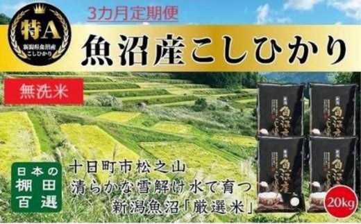 【令和6年産新米予約】 無洗米 3カ月 定期便 日本棚田百選のお米 天空の里 魚沼産 こしひかり 20kg(5kg×4)×3回 米 お米 コメ 1454313 - 新潟県十日町市