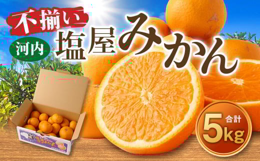 ＜2025年10月発送予定＞【不揃い】選べる 河内 塩屋みかん 5kg 極早生みかん 熊本 国産 みかん 蜜柑 ミカン 果物 くだもの フルーツ  1436927 - 熊本県熊本市