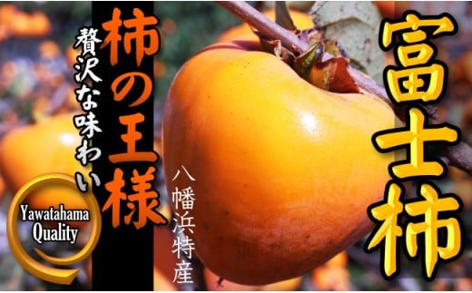 高糖度で滑らかな食感!八幡浜が誇るブランド柿「富士柿」＜C28-32＞【1089670】 397003 - 愛媛県八幡浜市