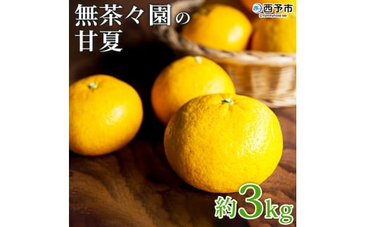 ＜無茶々園の甘夏 約3kg＞ 果物 あまなつ みかん ミカン 蜜柑 柑橘 フルーツ 期間限定 季節限定 食べて応援 特産品 愛媛県 西予市 【常温】 1455163 - 愛媛県西予市