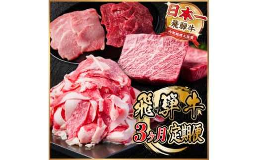 ＜毎月定期便＞飛騨牛 定期便 計1.4kg＜冷蔵便＞全3回【4055505】 1455542 - 岐阜県羽島市