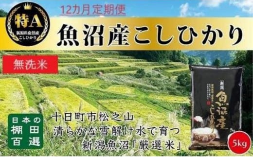 【令和6年産新米予約】 無洗米 12カ月 定期便 日本棚田百選のお米 天空の里 魚沼産 こしひかり 5kg×12回 米 お米 コメ 1454310 - 新潟県十日町市