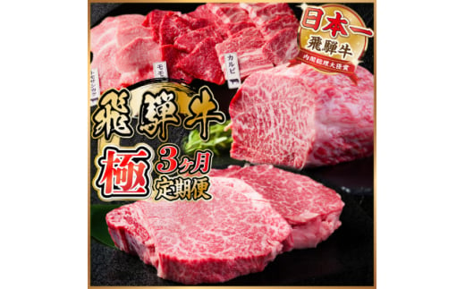 ＜毎月定期便＞飛騨牛 極定期便 計1.7kg＜冷蔵便＞全3回【4055508】 1455545 - 岐阜県羽島市