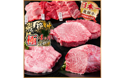 ＜毎月定期便＞飛騨牛 極定期便 計2.2kg＜冷蔵便＞全4回【4055509】 1455546 - 岐阜県羽島市