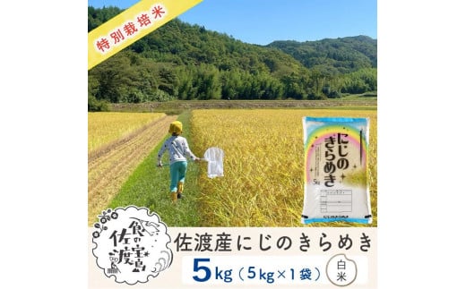 【新米・先行予約】佐渡島産 にじのきらめき 白米5Kg×1袋 特別栽培米 令和6年産 1058864 - 新潟県佐渡市