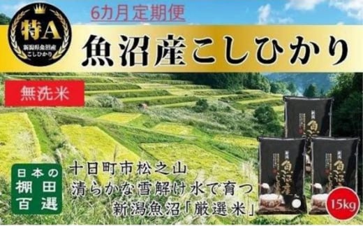 【令和6年産新米予約】 無洗米 6カ月 定期便 日本棚田百選のお米 天空の里 魚沼産 こしひかり 15kg(5kg×3)×6回 米 お米 コメ 1454317 - 新潟県十日町市