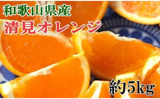 和歌山県産清見オレンジ約5kg（サイズ混合）★2025年3月中旬頃より順次発送【TM160】 1454072 - 和歌山県和歌山市