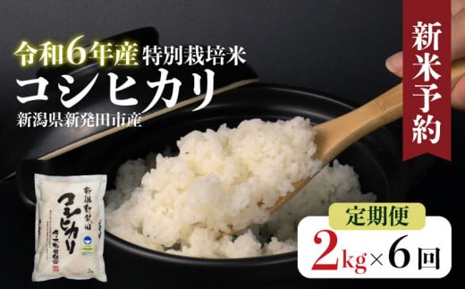 【定期便】令和6年産 新米予約 新潟県産 特別栽培米コシヒカリ2㎏×6か月 米 お米 ごはん 白米 コシヒカリ 佐々木耕起組合 プレゼント ギフト 贈答 定期便 特別栽培米 新潟 新潟県 新潟産 新発田産 867152 - 新潟県新発田市